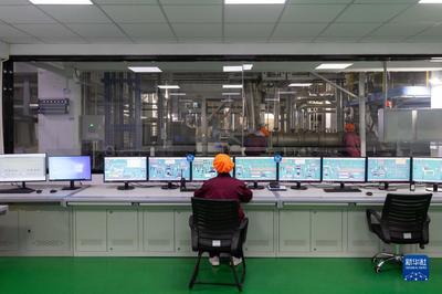 上海 5G智能工厂助力宠物食品生产“智造升级”